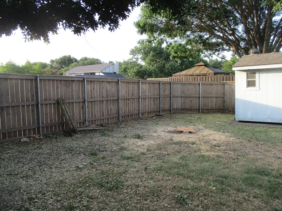 Cleared yard after professional tree removal in Climax Springs